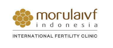 morula ivf.png